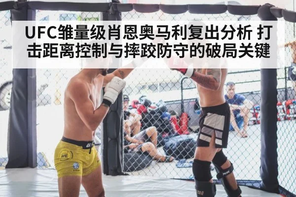 MMA fighter striking stance octagon