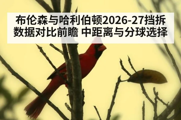 布伦森与哈利伯顿2026-27挡拆数据对比前瞻 中距离与分球选择