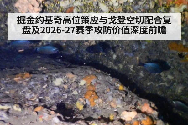 掘金约基奇高位策应与戈登空切配合复盘及2026-27赛季攻防价值深度前瞻